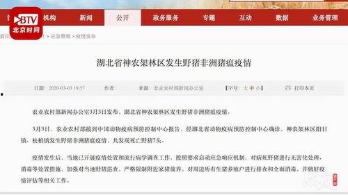 湖北新闻网爆料网,揭秘背后真相，聚焦社会热点  第3张