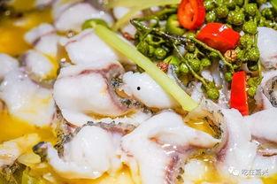 最新吃酸菜鱼爆料图片 第1张 最新吃酸菜鱼爆料图片 第1张